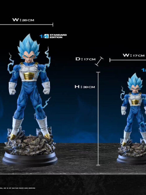 Super Saiyan Blue Vegeta - Image 6