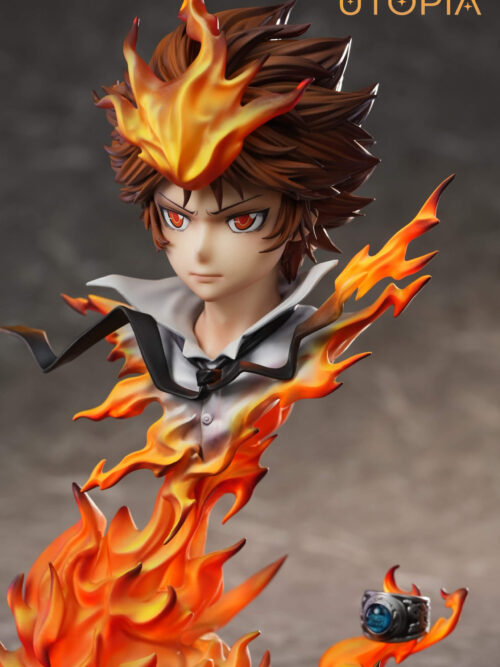 Dying Will Flame Tsunayoshi Sawada - Detail View 19