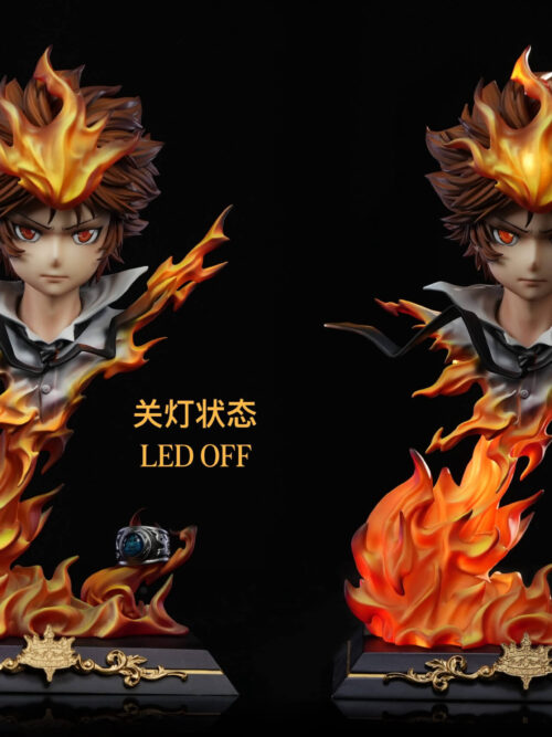 Dying Will Flame Tsunayoshi Sawada - Detail View 6