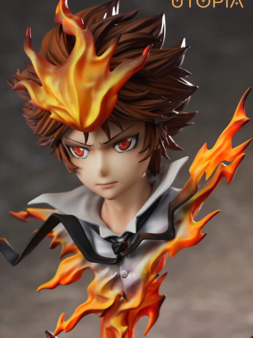 Dying Will Flame Tsunayoshi Sawada - Detail View 1