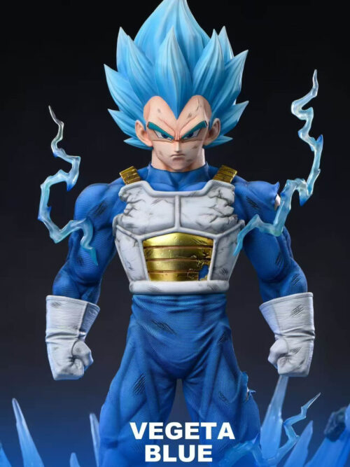 Super Saiyan Blue Vegeta - Image 7
