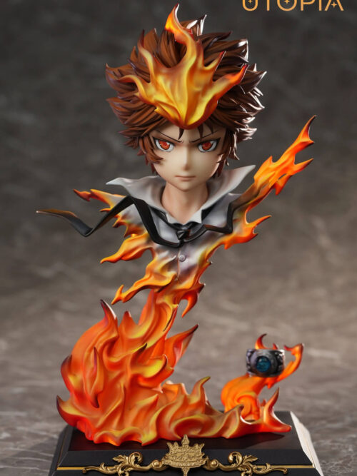Dying Will Flame Tsunayoshi Sawada - Collectible Figure Main View