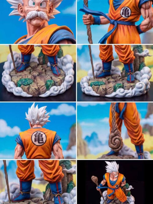 Elderly Goku - Detail View 6
