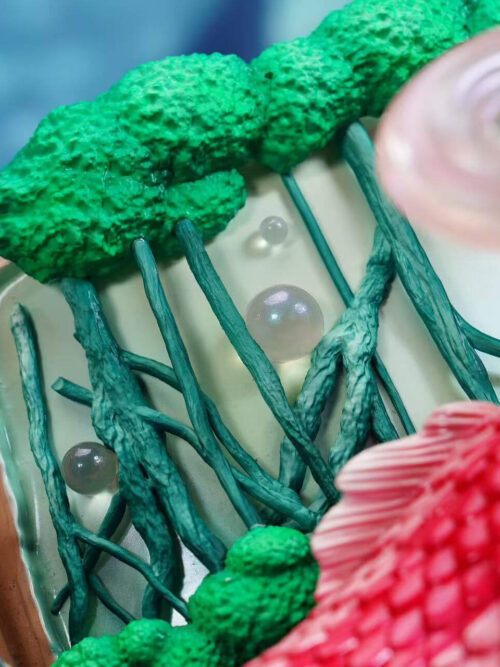 Poseidon Shirahoshi - Detail View 5