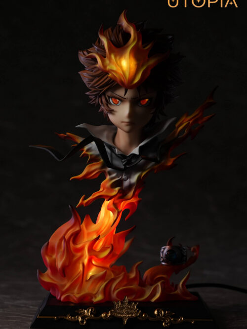 Dying Will Flame Tsunayoshi Sawada - Detail View 7