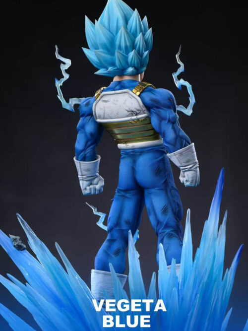 Super Saiyan Blue Vegeta - Image 8