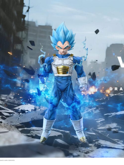 Super Saiyan Blue Vegeta - Collectible Figure Main View