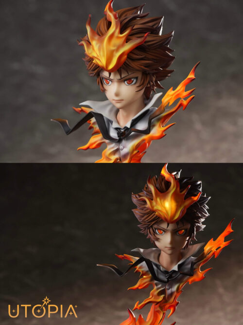 Dying Will Flame Tsunayoshi Sawada - Detail View 13