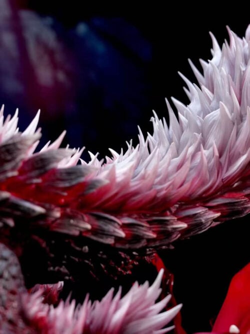 Monster Hunter Zinogre, Stygian Zinogre, and Thunderlord Zinogre - Detail View 12
