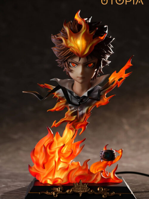 Dying Will Flame Tsunayoshi Sawada - Detail View 2