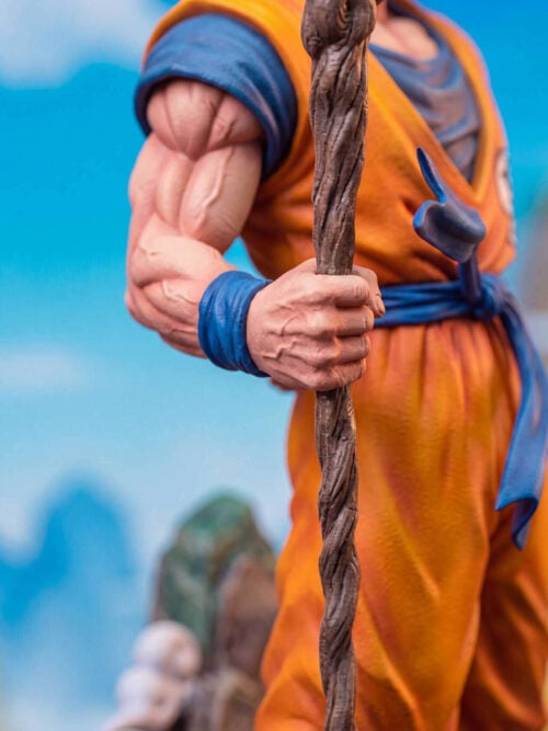 Elderly Goku - Detail View 10