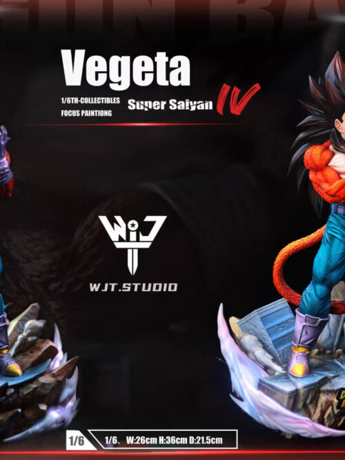 Super Saiyan 4 Vegeta - Detail View 12
