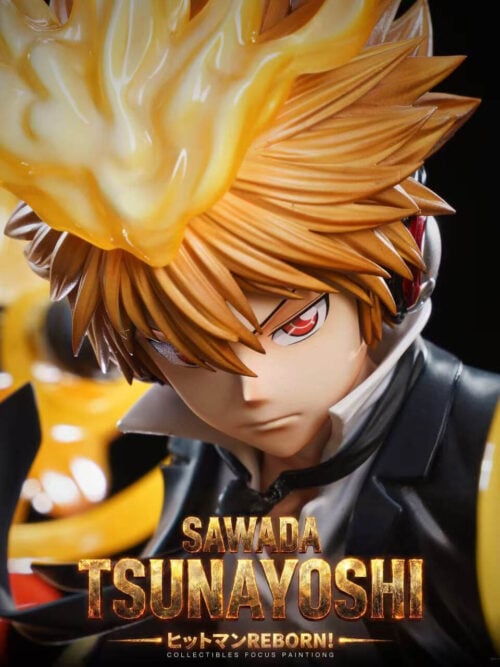 Hyper Dying Will Mode Tsunayoshi Sawada - Detail View 2