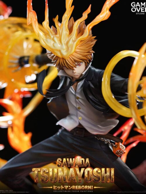 Hyper Dying Will Mode Tsunayoshi Sawada - Detail View 1