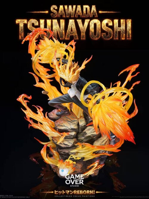 Hyper Dying Will Mode Tsunayoshi Sawada - Detail View 6