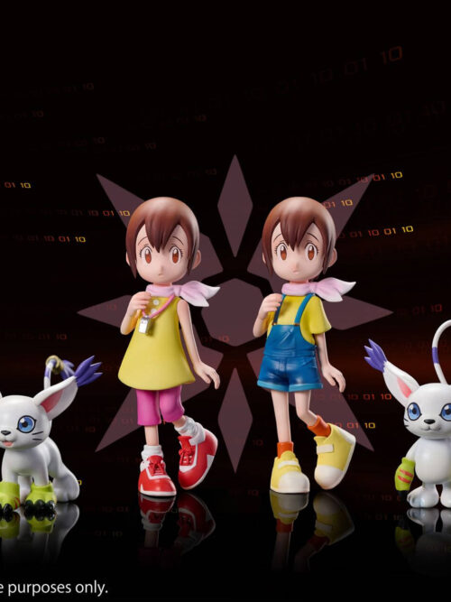 Kari Kamiya, Gatomon & Salamon - Collectible Figure Main View