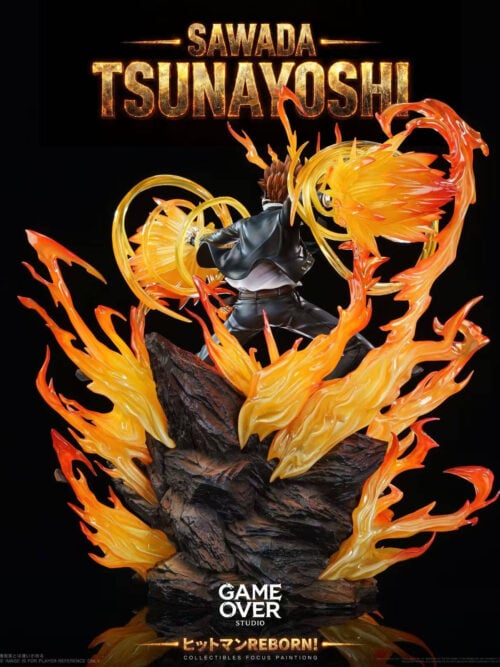 Hyper Dying Will Mode Tsunayoshi Sawada - Detail View 8
