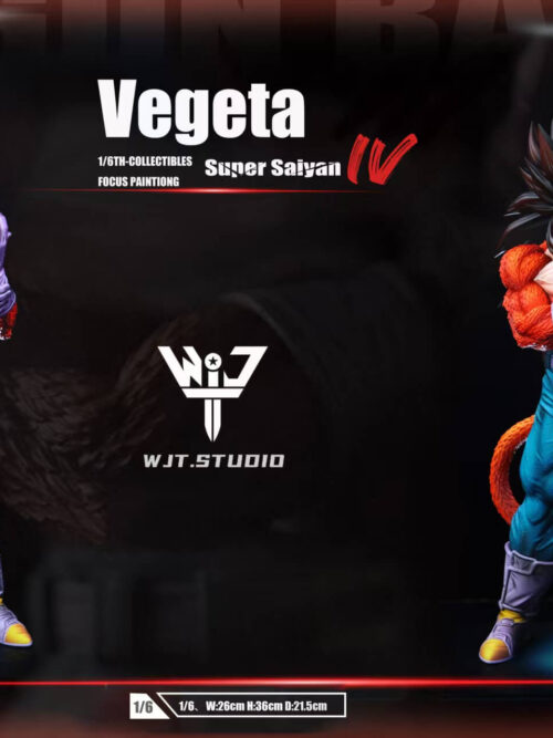 Super Saiyan 4 Vegeta - Detail View 11