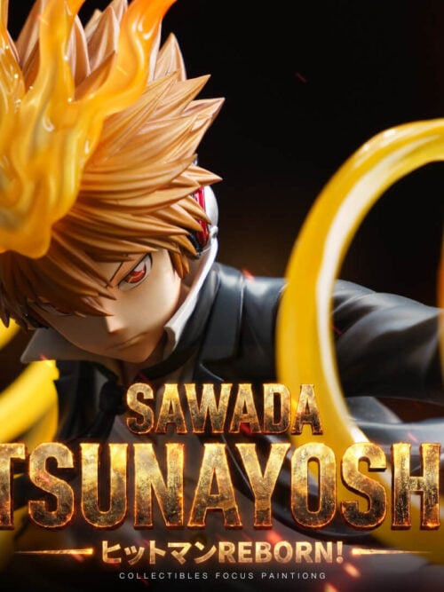 Hyper Dying Will Mode Tsunayoshi Sawada - Detail View 4