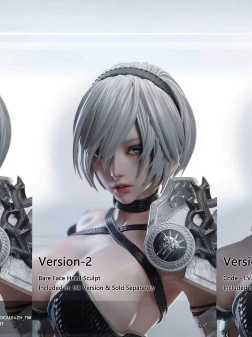 Divergent Quadrant Series 2B — NieR:Automata - Detail View 22
