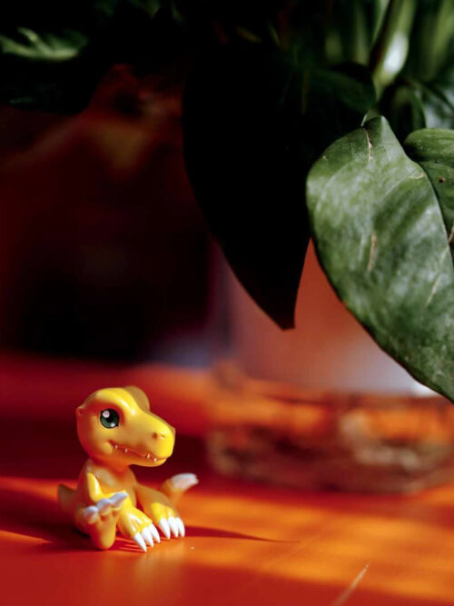Seated Agumon figure on a sunlit wooden tabletop beneath green leaves, showing its teeth and white claws.