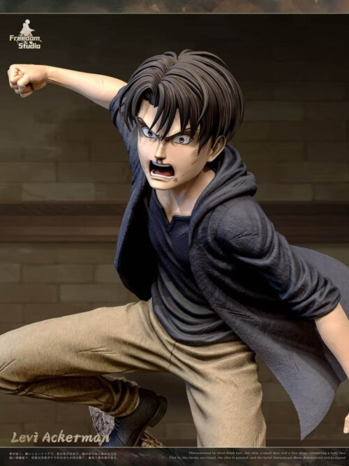 Childhood Series Vol. 6 Levi Ackerman — Attack on Titan - Detail View 1