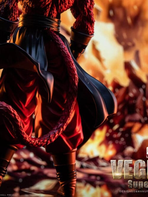 Super Saiyan 4 Vegito - Detail View 4