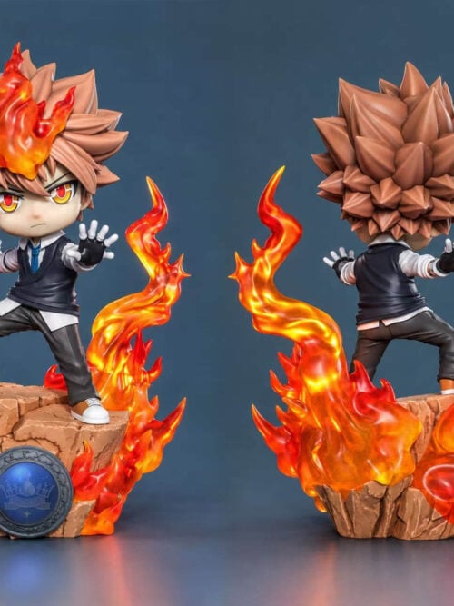 Front and rear views of Tsunayoshi Sawada with open gloved hands, spiked brown hair and a flame-framed rock base.