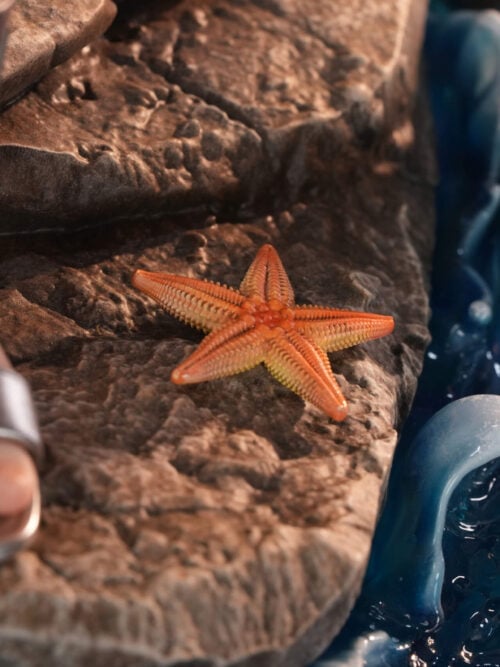 Close-up of the display base showing a silver sandal, sculpted orange starfish on textured rock, and translucent blue wave effects.